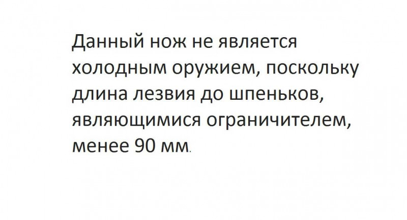 Заключение экспертизы