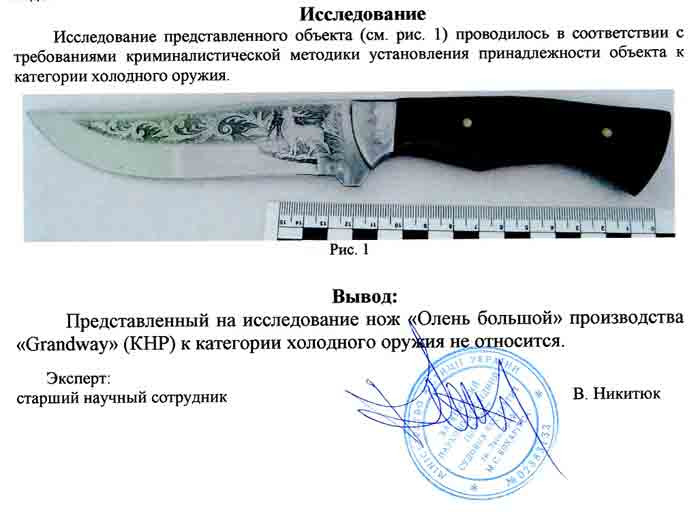 Заключение экспертизы