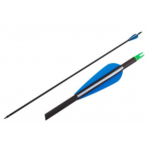 Стрела-2002 (карбон)    